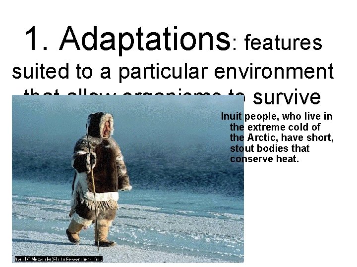 1. Adaptations: features suited to a particular environment that allow organisms to survive Inuit