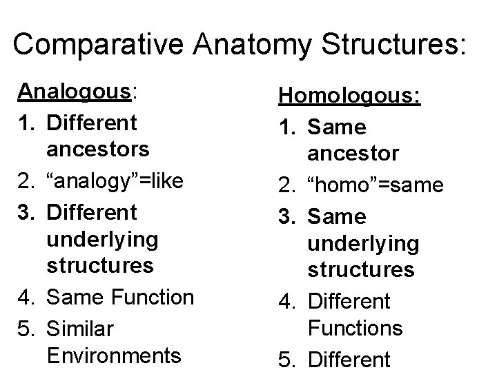 Comparative Anatomy Structures: Analogous: 1. Different ancestors 2. “analogy”=like 3. Different underlying structures 4.