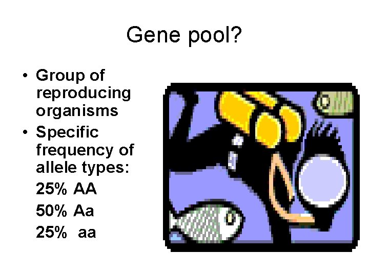 Gene pool? • Group of reproducing organisms • Specific frequency of allele types: 25%