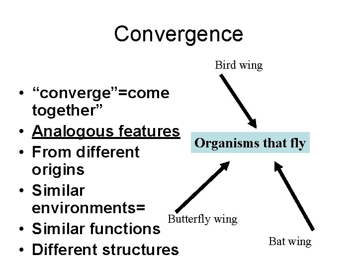 Convergence Bird wing • “converge”=come together” • Analogous features Organisms that fly • From