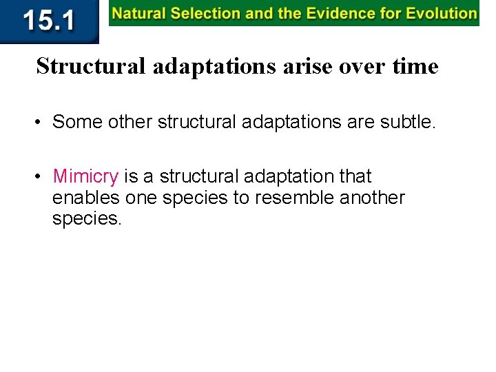 Structural adaptations arise over time • Some other structural adaptations are subtle. • Mimicry