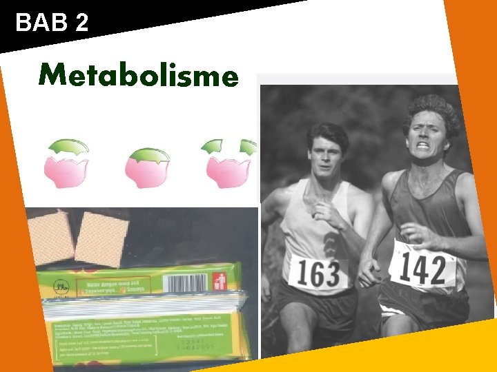 BAB 2 Metabolisme 