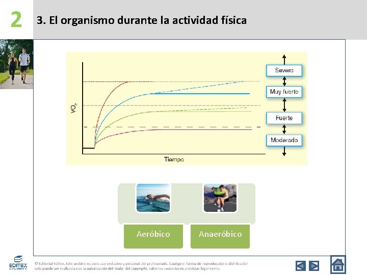 2 3. El organismo durante la actividad física Aeróbico Anaeróbico 
