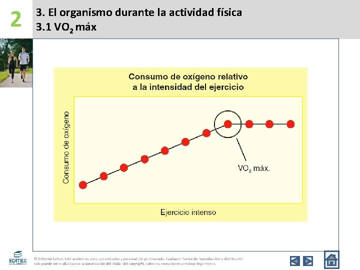 2 3. El organismo durante la actividad física 3. 1 VO 2 máx 