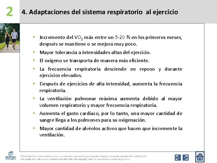 2 4. Adaptaciones del sistema respiratorio al ejercicio § Incremento del VO 2 máx