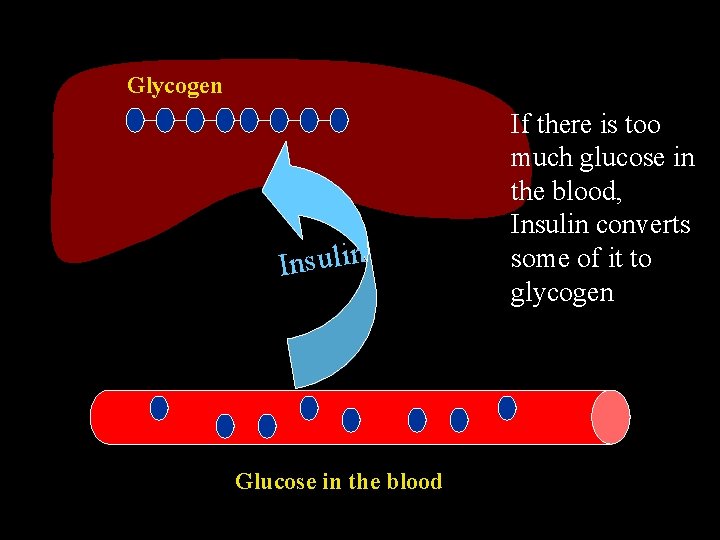 Glycogen Insulin Glucose in the blood If there is too much glucose in the