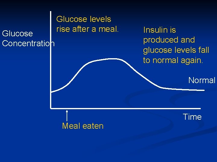Glucose Concentration Glucose levels rise after a meal. Insulin is produced and glucose levels