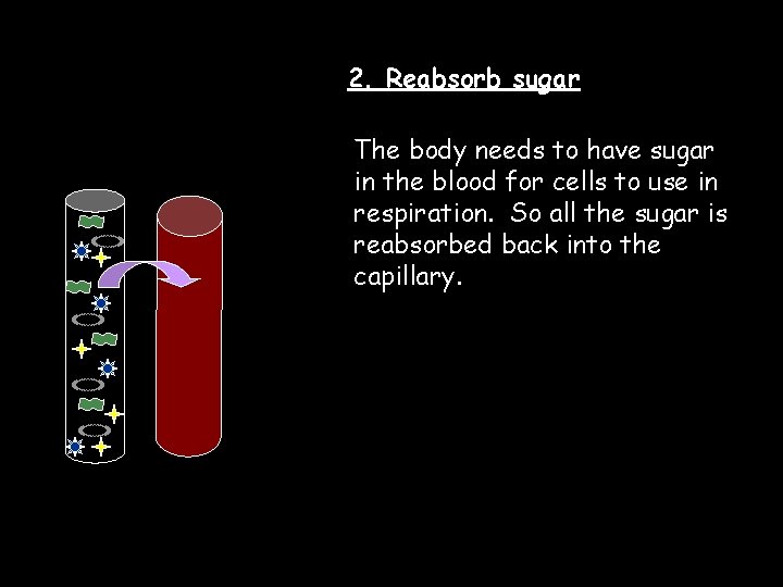 2. Reabsorb sugar The body needs to have sugar in the blood for cells