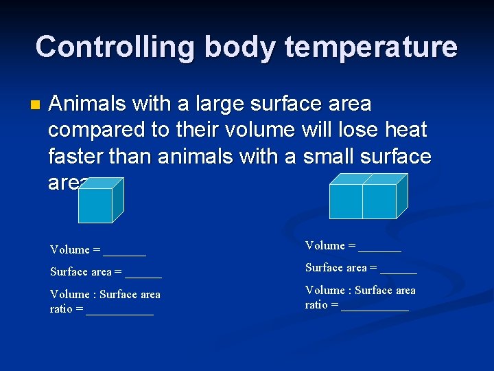 Controlling body temperature n Animals with a large surface area compared to their volume