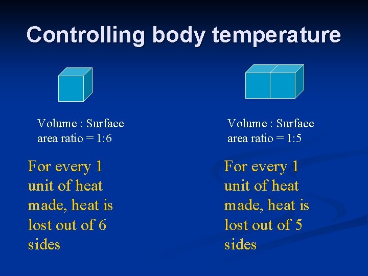 Controlling body temperature Volume : Surface area ratio = 1: 6 For every 1