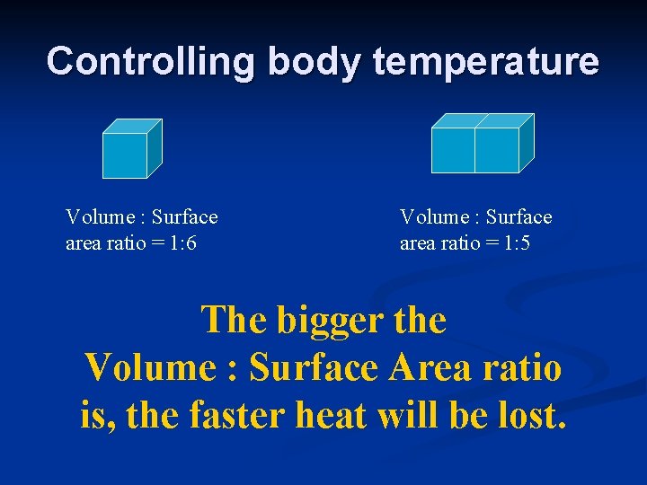 Controlling body temperature Volume : Surface area ratio = 1: 6 Volume : Surface