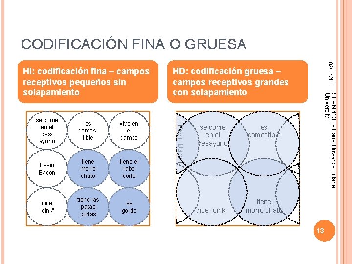 CODIFICACIÓN FINA O GRUESA vive en el campo Kevin Bacon tiene morro chato tiene