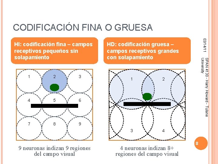 CODIFICACIÓN FINA O GRUESA 2 3 4 5 6 7 8 9 9 neuronas