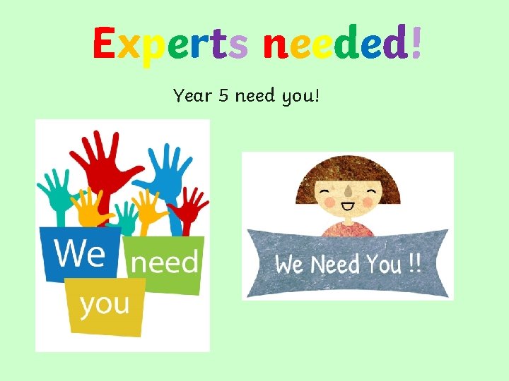 Experts needed! Year 5 need you! 