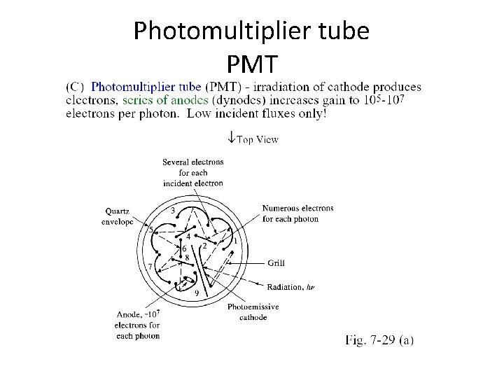 Photomultiplier tube PMT 