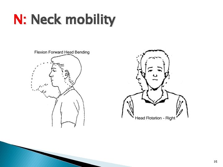 N: Neck mobility 35 