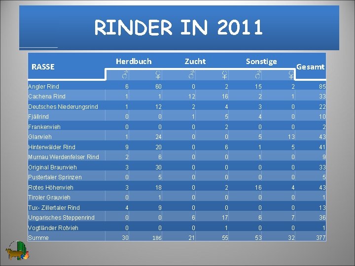 RINDER IN 2011 RASSE Herdbuch Zucht Sonstige Gesamt ♂ ♀ ♂ ♀ Angler Rind