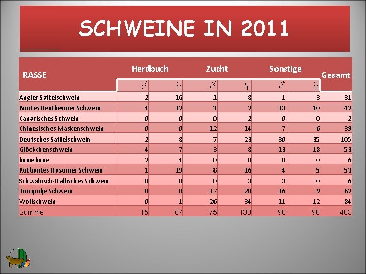 SCHWEINE IN 2011 RASSE Angler Sattelschwein Buntes Bentheimer Schwein Canarisches Schwein Chinesisches Maskenschwein Deutsches