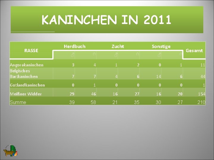 KANINCHEN IN 2011 RASSE Herdbuch Zucht Sonstige Gesamt ♂ ♀ ♂ ♀ Angorakaninchen Belgisches