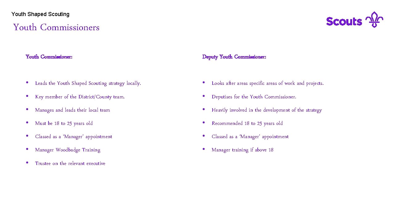 Youth Shaped Scouting Youth. Commissioners Youth Commissioner: Deputy Youth Commissioner: • Leads the Youth