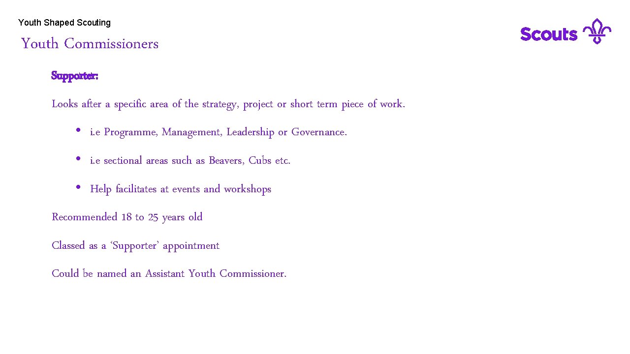 Youth Shaped Scouting Youth Commissioners Supporter: Looks after a specific area of the strategy,