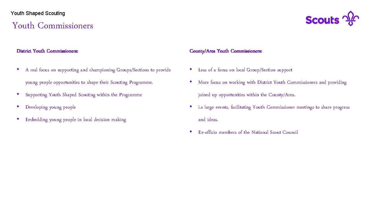 Youth Shaped Scouting Youth Commissioners District Youth Commissioners: County/Area Youth Commissioners: • A real