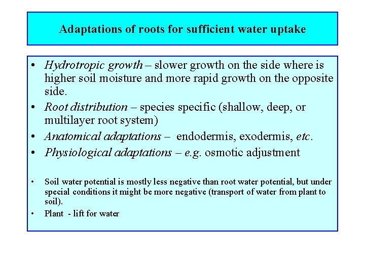 Adaptations of roots for sufficient water uptake • Hydrotropic growth – slower growth on