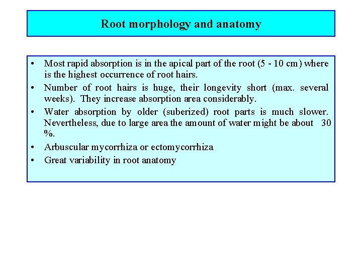 Root morphology and anatomy • Most rapid absorption is in the apical part of