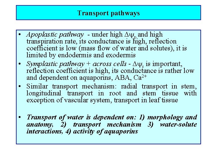 Transport pathways • Apoplastic pathway - under high p and high transpiration rate, its