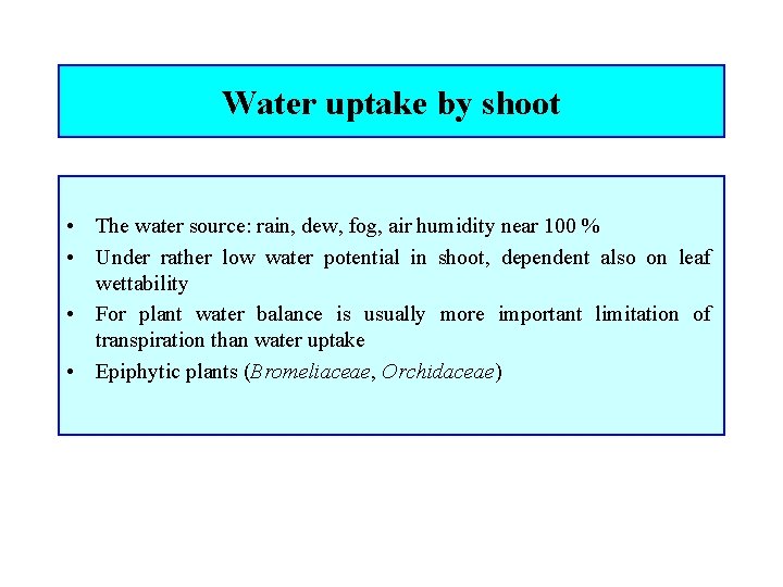 Water uptake by shoot • The water source: rain, dew, fog, air humidity near