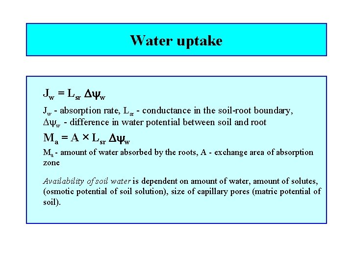 Water uptake Jw = Lsr w Jw - absorption rate, Lsr - conductance in