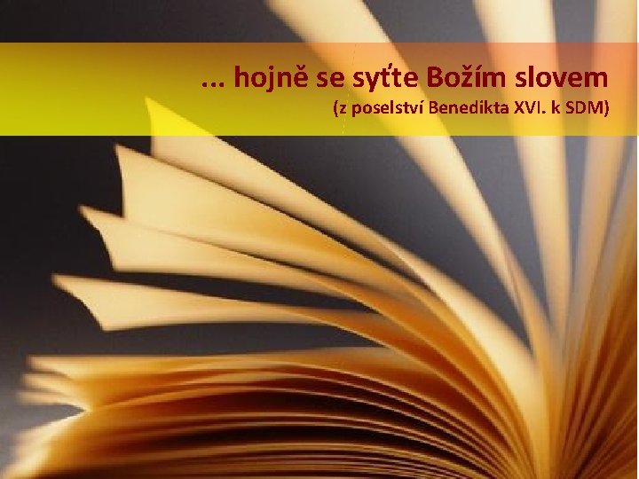 . . . hojně se syťte Božím slovem (z poselství Benedikta XVI. k SDM)