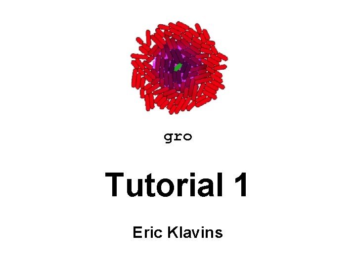 gro Tutorial 1 Eric Klavins 