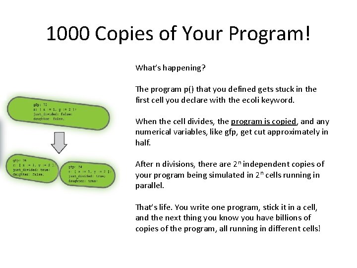 1000 Copies of Your Program! What’s happening? The program p() that you defined gets