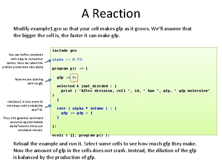 A Reaction Modify example 1. gro so that your cell makes gfp as it