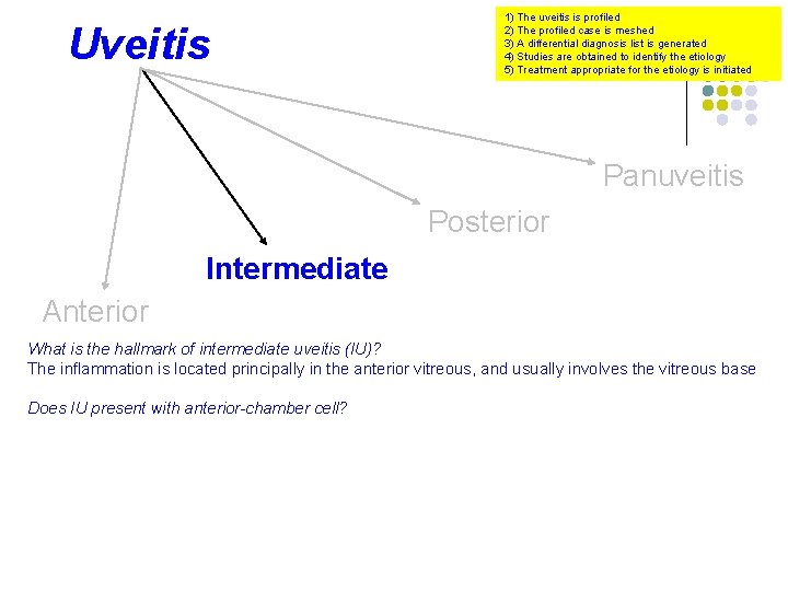 Uveitis 1) The uveitis is profiled 2) The profiled case is meshed 3) A