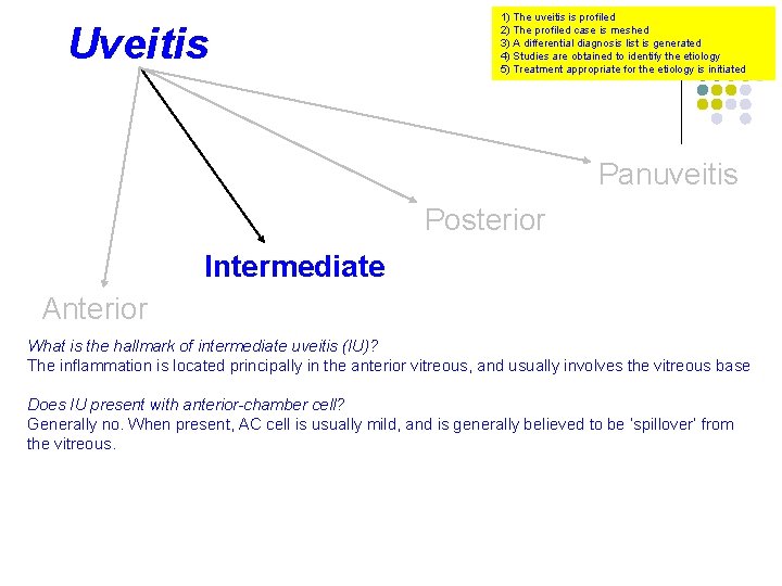 Uveitis 1) The uveitis is profiled 2) The profiled case is meshed 3) A