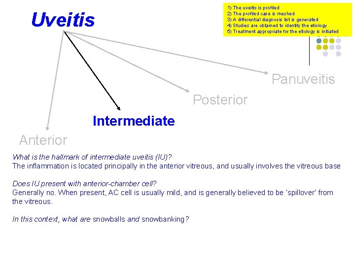 Uveitis 1) The uveitis is profiled 2) The profiled case is meshed 3) A