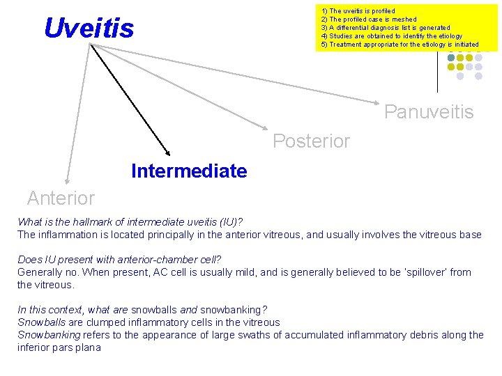 Uveitis 1) The uveitis is profiled 2) The profiled case is meshed 3) A