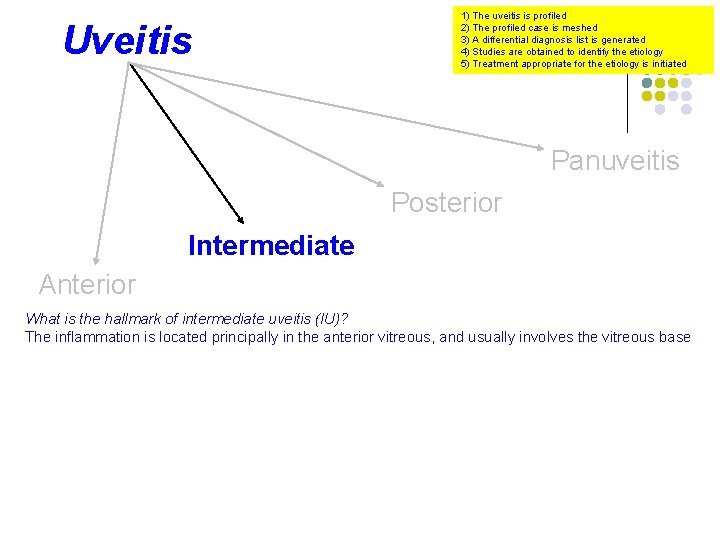 Uveitis 1) The uveitis is profiled 2) The profiled case is meshed 3) A