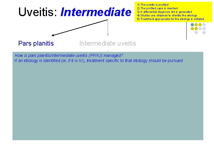 Uveitis: Intermediate Pars planitis 1) The uveitis is profiled 2) The profiled case is