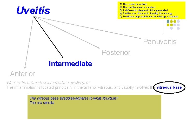 1) The uveitis is profiled 2) The profiled case is meshed 3) A differential