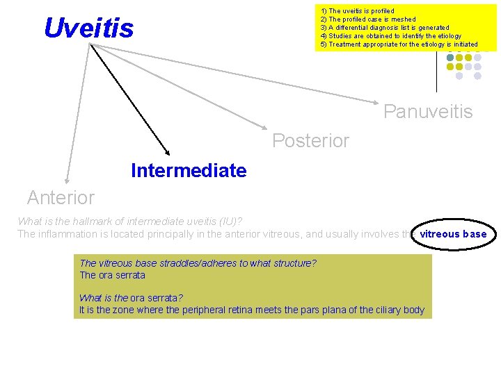 1) The uveitis is profiled 2) The profiled case is meshed 3) A differential