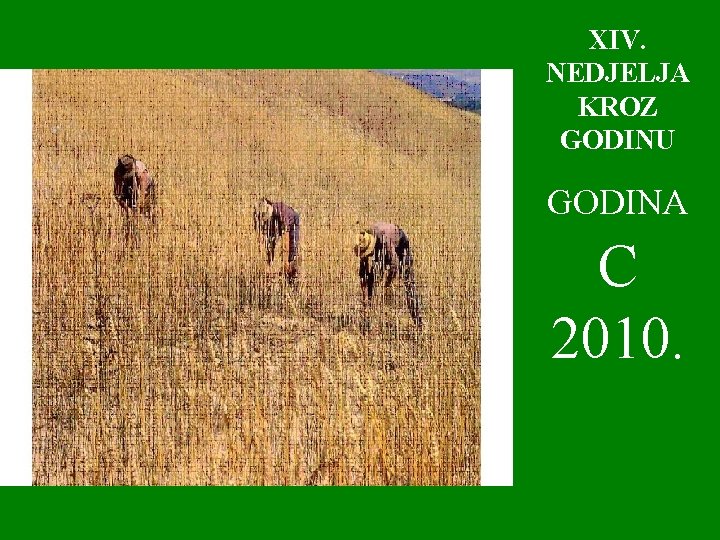 XIV. NEDJELJA KROZ GODINU GODINA C 2010. 