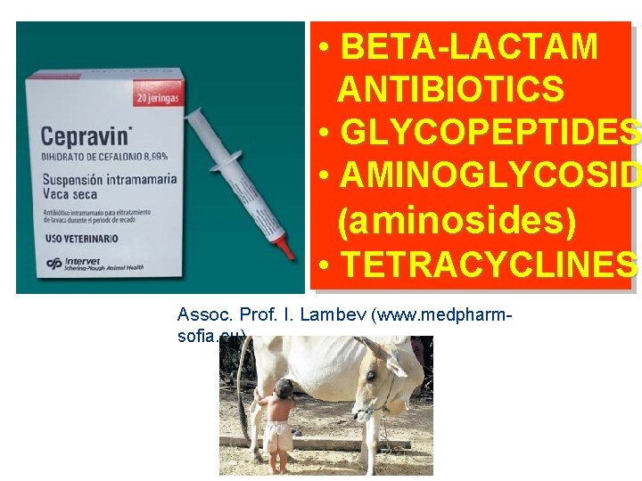  • BETA-LACTAM ANTIBIOTICS • GLYCOPEPTIDES • AMINOGLYCOSID (aminosides) • TETRACYCLINES Assoc. Prof. I.