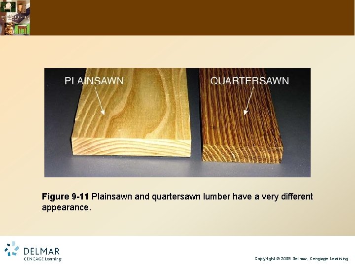 Figure 9 -11 Plainsawn and quartersawn lumber have a very different appearance. Copyright ©
