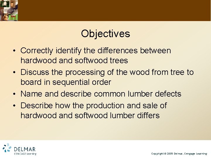 Objectives • Correctly identify the differences between hardwood and softwood trees • Discuss the