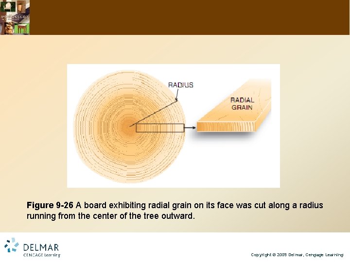 Figure 9 -26 A board exhibiting radial grain on its face was cut along