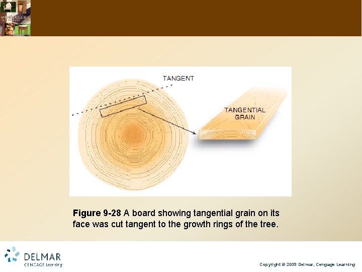 Figure 9 -28 A board showing tangential grain on its face was cut tangent