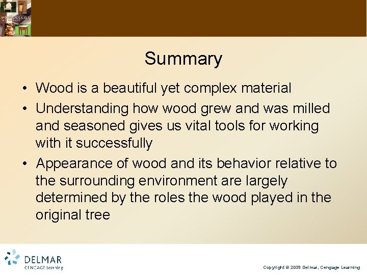 Summary • Wood is a beautiful yet complex material • Understanding how wood grew